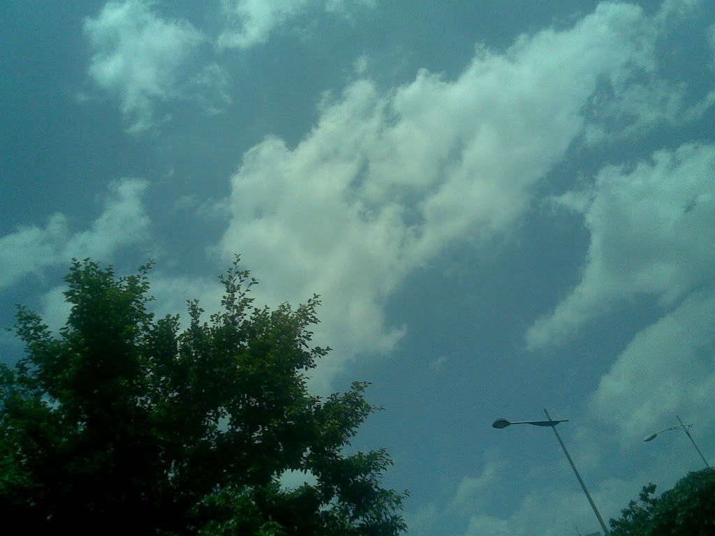 20090504-005