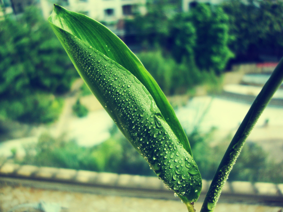 tumblr_m32rtlhscy1qktd12o1_1280