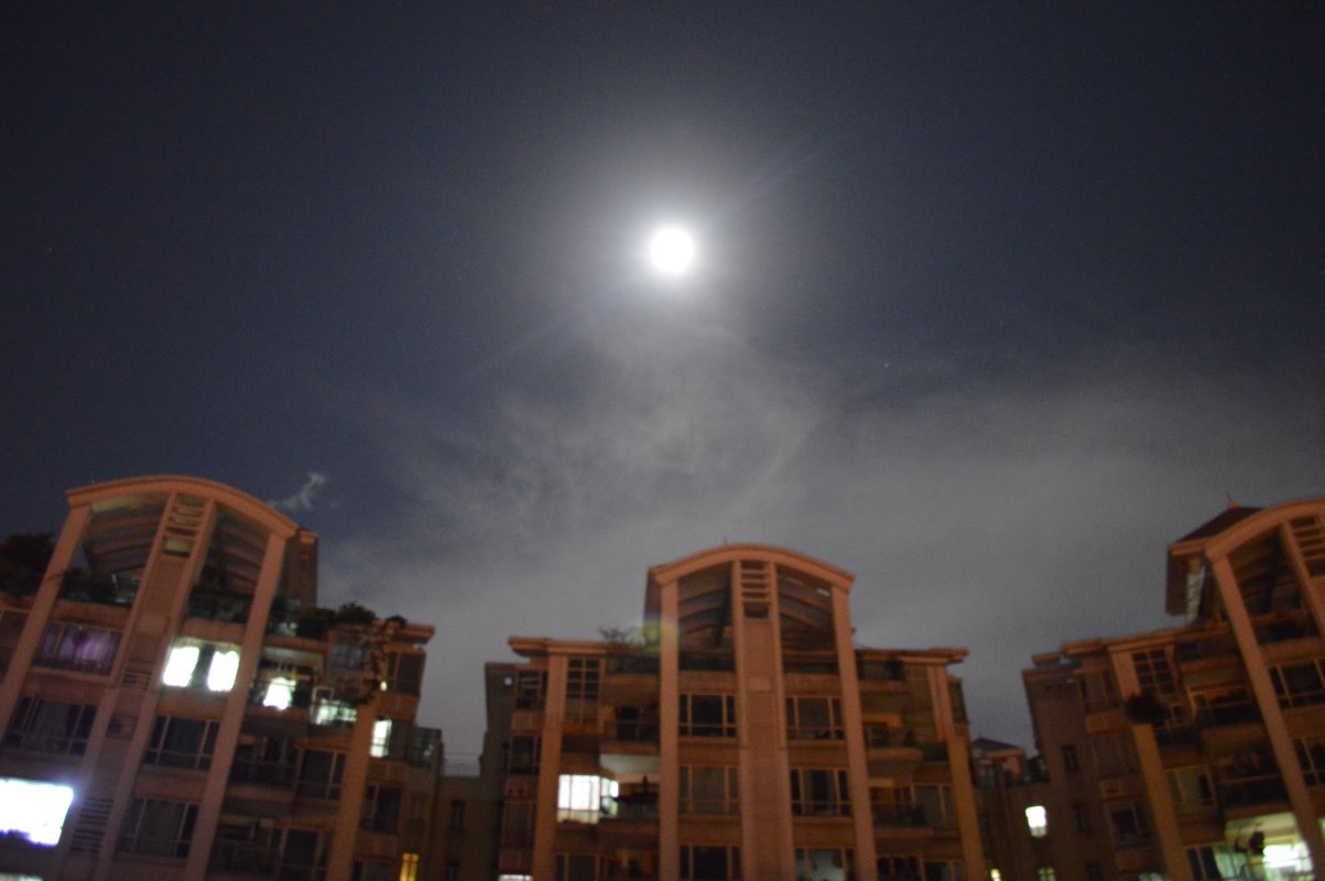 moonlight
